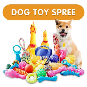 Pet Supplies Pet Toys Mystery Box Randomly Send Products (Quantity: 4)